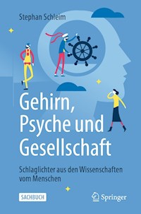 Gehirn, Psyche und Gesellschaft - Stephan Schleim - E-Book