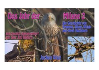 Das Jahr der Milane 2 - Jochen Walz - E-Book