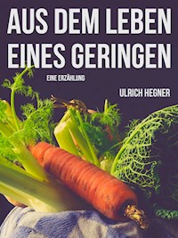 Aus dem Leben eines Geringen - Ulrich Hegner - E-Book