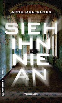 Sieh ihn nie an - Arne Molfenter - E-Book