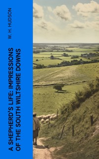 A Shepherd's Life: Impressions of the South Wiltshire Downs - W. H. Hudson - E-Book