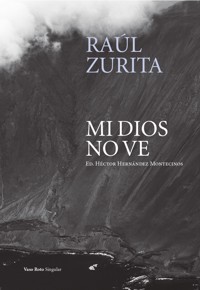 Mi Dios no ve - Raúl Zurita - E-Book