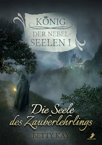 Die Seele des Zauberlehrlings - Betty Kay - E-Book
