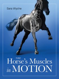 Horse's Muscles in Motion - Sara Wyche - E-Book