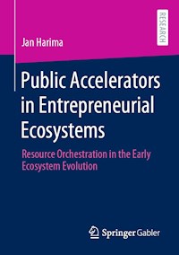 Public Accelerators in Entrepreneurial Ecosystems - Jan Harima - E-Book