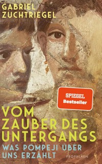 Vom Zauber des Untergangs - Gabriel Zuchtriegel - E-Book