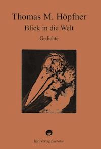 Blick in die Welt - Thomas M. Höpfner - E-Book