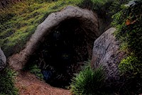 Das Artefakt - Barbara Wegener - E-Book