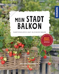Mein Stadtbalkon - Melanie Öhlenbach - E-Book