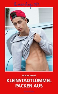 Loverboys 157: Kleinstadtlümmel packen aus - Tilman Janus - E-Book