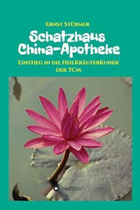 Schatzhaus China-Apotheke - Ernst Stürmer - E-Book