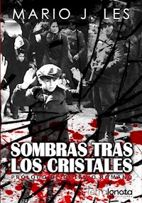 Sombras tras los cristales - Mario J. Les - E-Book