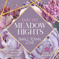 Meadow Hights: Small Town Love - New York Gentlemen, Band 6 (ungekürzt) - Emily Key - Hörbuch