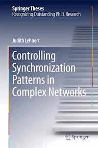 Controlling Synchronization Patterns in Complex Networks - Judith Lehnert - E-Book
