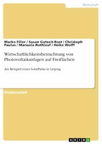 Wirtschaftlichkeitsbetrachtung von Photovoltaikanlagen auf Freiflächen - Marko Filler - E-Book