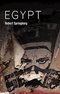 Egypt - Robert Springborg - E-Book