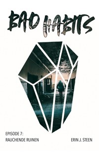 Rauchende Ruinen - Erin J. Steen - E-Book