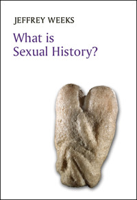 What is Sexual History? - Jeffrey Weeks - E-Book