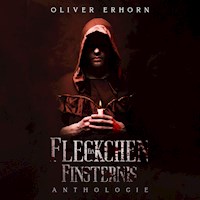 Ein Fleckchen Finsternis - Oliver Erhorn - Hörbuch