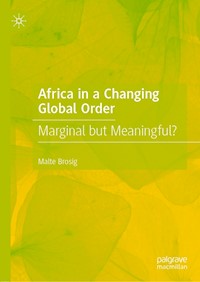 Africa in a Changing Global Order - Malte Brosig - E-Book