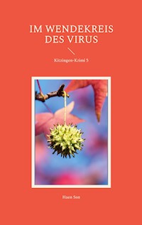 Im Wendekreis des Virus - Haen Son - E-Book