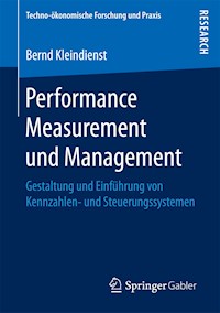 Performance Measurement und Management - Bernd Kleindienst - E-Book