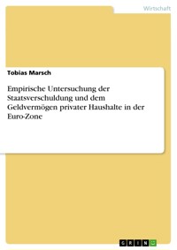 Empirische Untersuchung der Staatsverschuldung und dem Geldvermögen privater Haushalte in der Euro-Zone - Tobias Marsch - E-Book