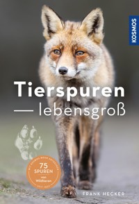 Tierspuren lebensgroß - Frank Hecker - E-Book