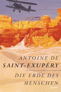 Die Erde des Menschen - Antoine Saint-Exupéry - E-Book