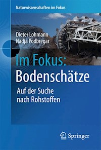 Im Fokus: Bodenschätze - Dieter Lohmann - E-Book