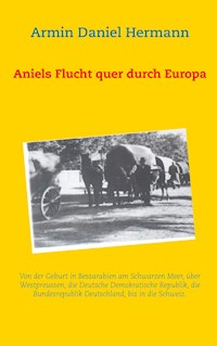 Aniels Flucht durch ganz Europa - Armin Daniel Hermann - E-Book