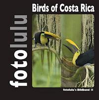 Birds of Costa Rica - fotolulu - E-Book