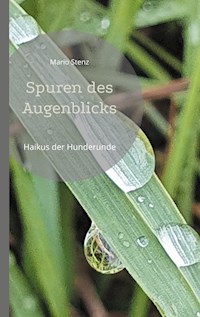 Spuren des Augenblicks - Mario Stenz - E-Book