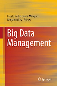 Big Data Management -  - E-Book