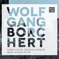 Erzählungen (Audio Test) - Testreihe Hörbuch - Ein Testtitel, Band 1 (Ungekürzt) - Wolfgang Borchert - Hörbuch