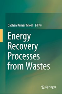 Energy Recovery Processes from Wastes - - E-Book