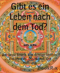 Gibt es ein Leben nach dem Tod? - Nils Horn - kostenlos E-Book