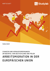 Arbeitsmigration in der Europäischen Union. Chancen und Herausforderungen am Beispiel von Deutschland und Polen - Maria Rehm - E-Book
