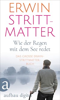 Wie der Regen mit dem See redet - Erwin Strittmatter - E-Book