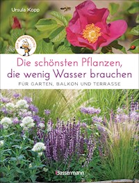 Die schönsten Pflanzen, die wenig Wasser brauchen für Garten, Balkon und Terrasse - 66 trockenheitsverträgliche Stauden, Sträucher, Gräser und Blumen, die heiße Sommer garantiert überleben - Ursula Kopp - E-Book