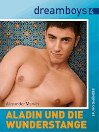 Aladin und die Wunderstange - Alexander Marvin - E-Book