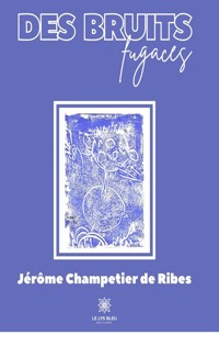 Des bruits fugaces - Jérôme Champetier de Ribes - E-Book