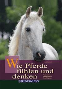 Wie Pferde fühlen und denken - Marlitt Wendt - E-Book