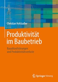 Produktivität im Baubetrieb - Christian Hofstadler - E-Book