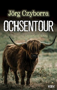 Ochsentour - Jörg Czyborra - E-Book