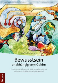 Bewusstsein unabhängig vom Gehirn - Siegfried Schumann - E-Book