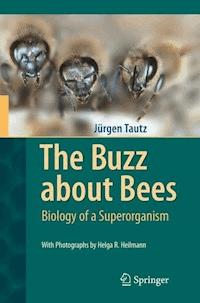 The Buzz about Bees - Jürgen Tautz - E-Book