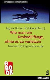 Wie man ein Krokodil fängt, ohne es zu verletzen - Agnes Kaiser Rekkas - E-Book