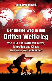 Der direkte Weg in den Dritten Weltkrieg - Peter Orzechowski - E-Book
