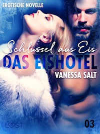 Das Eishotel 3 - Schlüssel aus Eis - Erotische Novelle - Vanessa Salt - E-Book